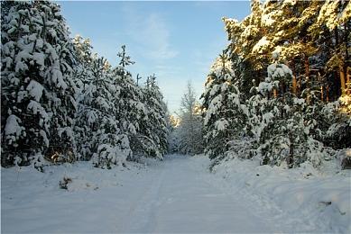 《暗喻幻想》被误认为Xbox独占 引发部分玩家忧虑